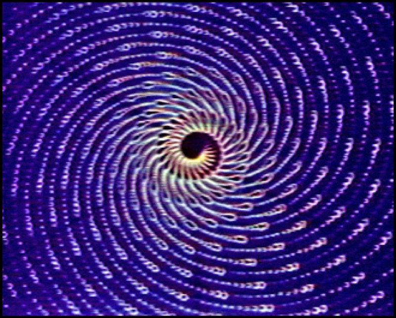 Sortie Sandin FX : longue spirale lumineuse née du feedback vidéo sur fond sombre